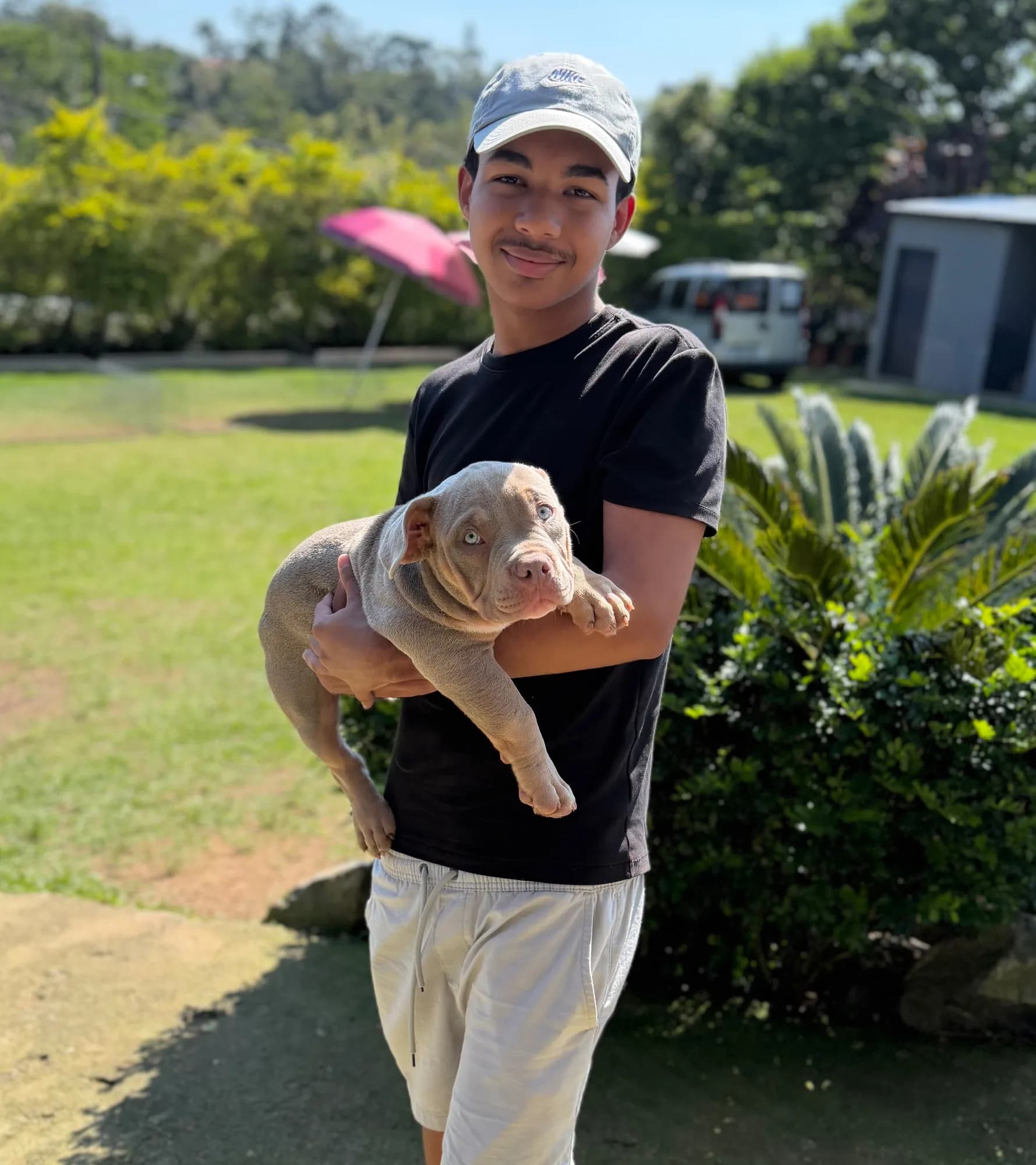 Guilherme com o filhote de American Bully em São Paulo/SP